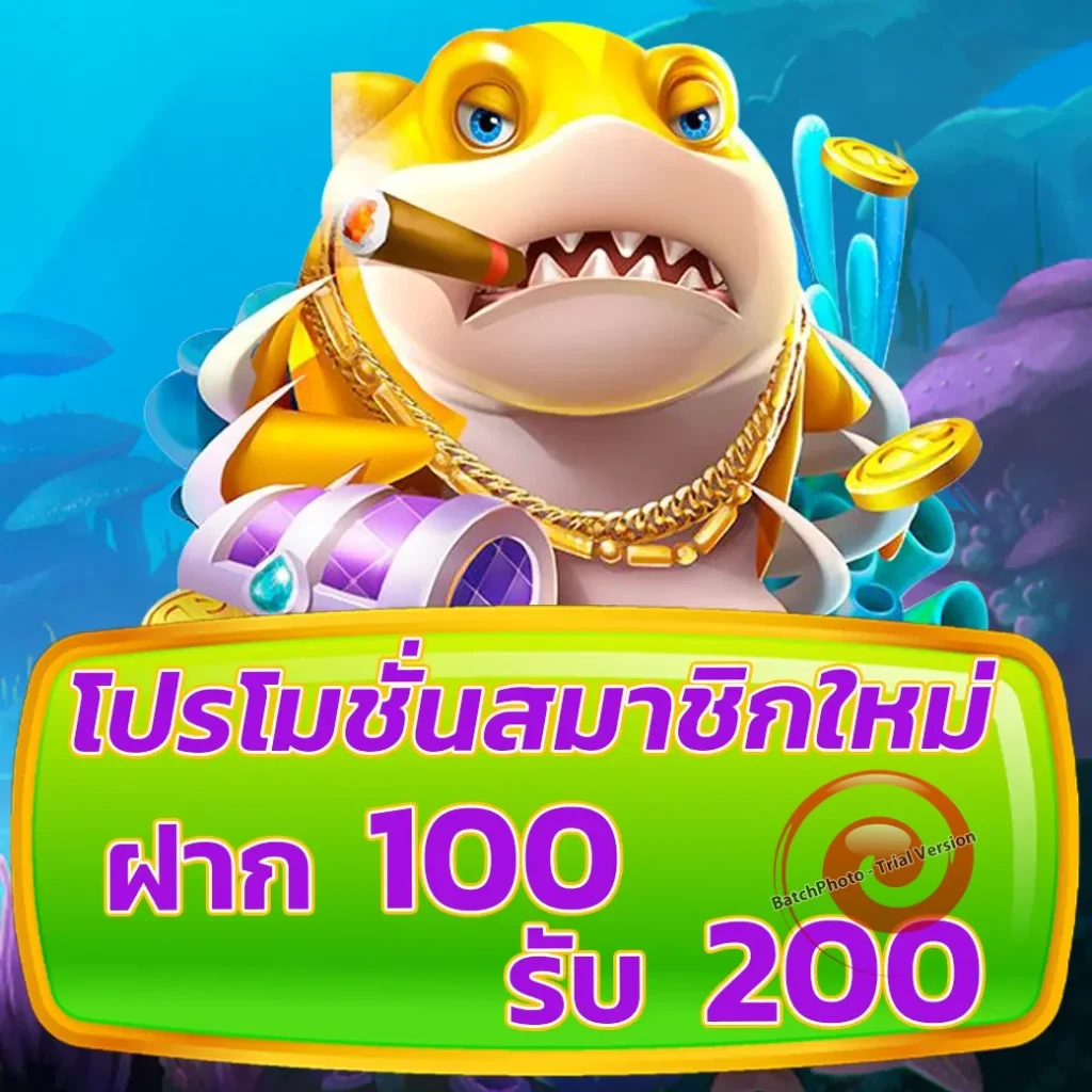 อัปเดต dragon 999